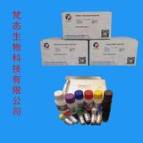 人C型钠尿肽(CNP)elisa试剂盒